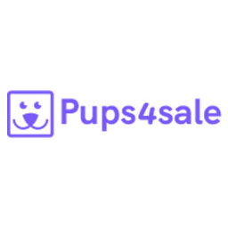 Da nemate laba kojeg psa biste imali? Bullmastiff_01a_puppies_for_sale