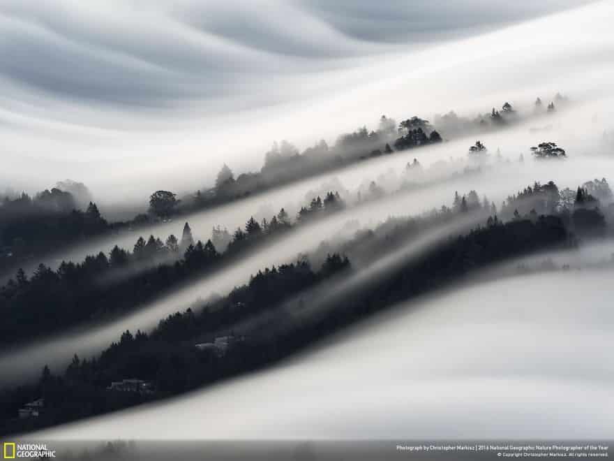 La dernière cuvée de National Geographic est sublime ! Par Pureactu.com  National-Geographic-7