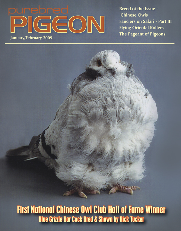 Purebred Pigeon Chinese-Coverv2-large