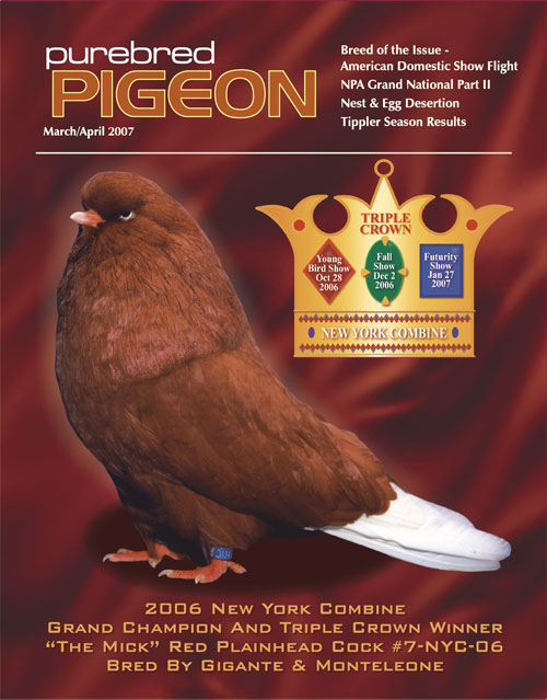 Purebred Pigeon DomFlightCoverv2large