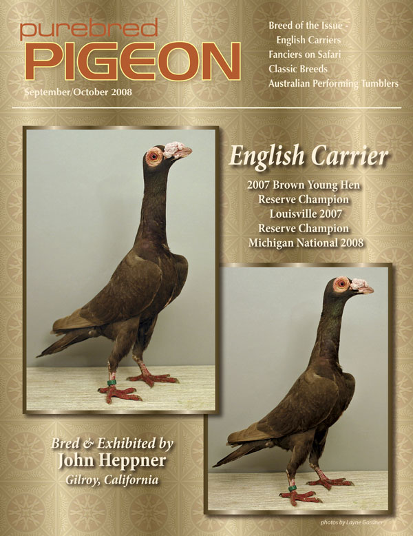 Purebred Pigeon English-Carrier-cover-v2-large