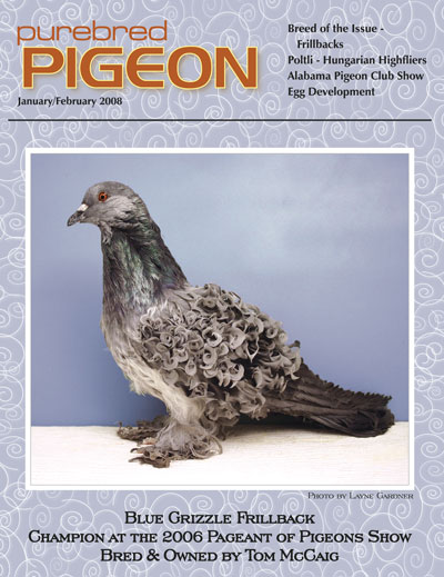 Purebred Pigeon FrillbackCoverLarge