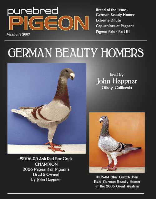 Purebred Pigeon GBH-MJ07-Cover-v6-large