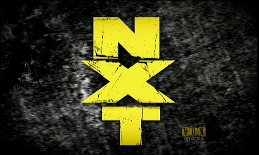 First NXT : New Generation ! Wwe-nxt-logo-2