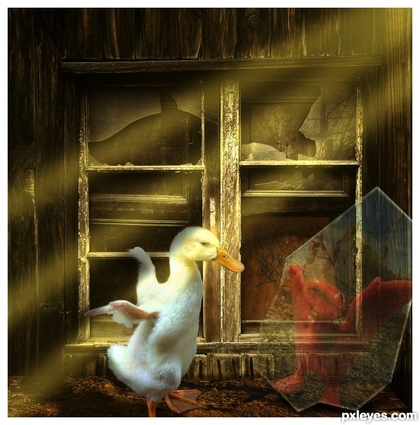 My Foto World - Page 10 The-Wild-Fantasy-of-a-Duckling-4d7fbf605843d