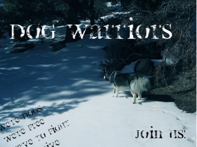 Blattstern macht Avatare und Signaturen Dogwarriors5php