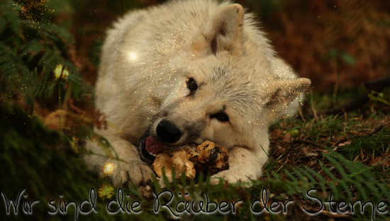 Räuber der Sterne|Wolfs-RPG|Longplay Ruber