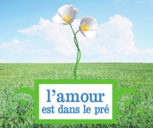 L'amour est dans le pré 8  - Page 2 L-amour-est-dans-le-pre-300x250