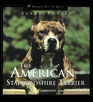 American Staffordshire Resimleri 0876050038