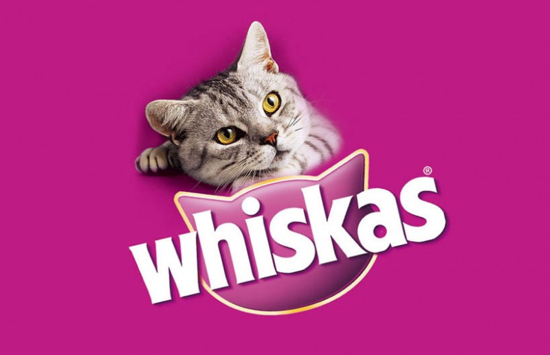 Barbicha / Whiscash Whiskas