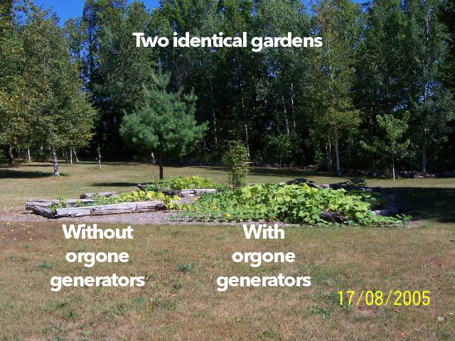 Visible effects of orgone generators Orgonite-garden