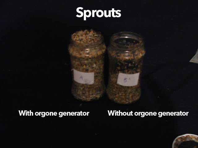 Visible effects of orgone generators Sprouts-orgonite