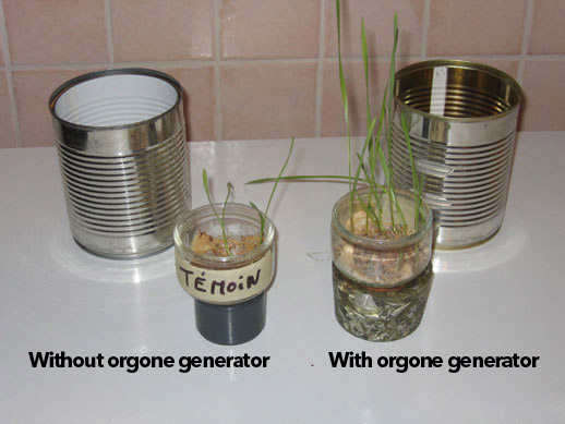 Visible effects of orgone generators Visible-effects-on-plants