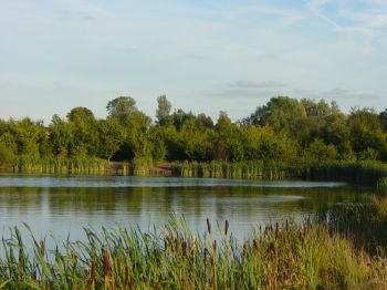 church view fisheries Cview