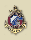 quelques insignes de régiments paras Insigne_22