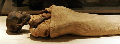 قصة اكتشاف جثة فرعون 1183752857455798230_91b9851fce