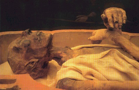 قصة اكتشاف جثة فرعون 1183752920momia