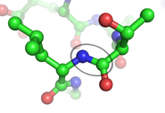 علم الكيمياء.. ينقض نظرية التطور  1255031971185px-peptide_bond