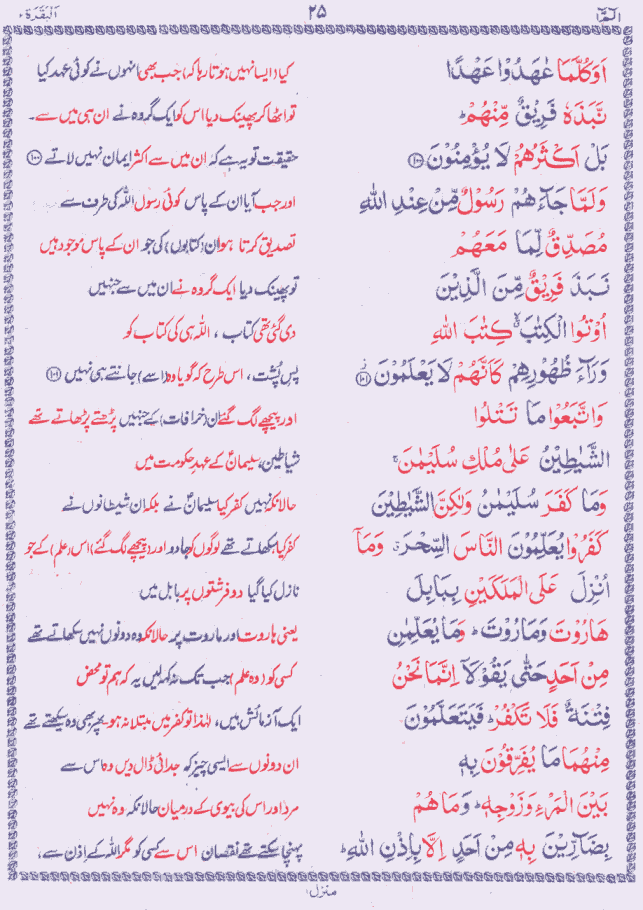 Quran Shareef Para # 1 P0025