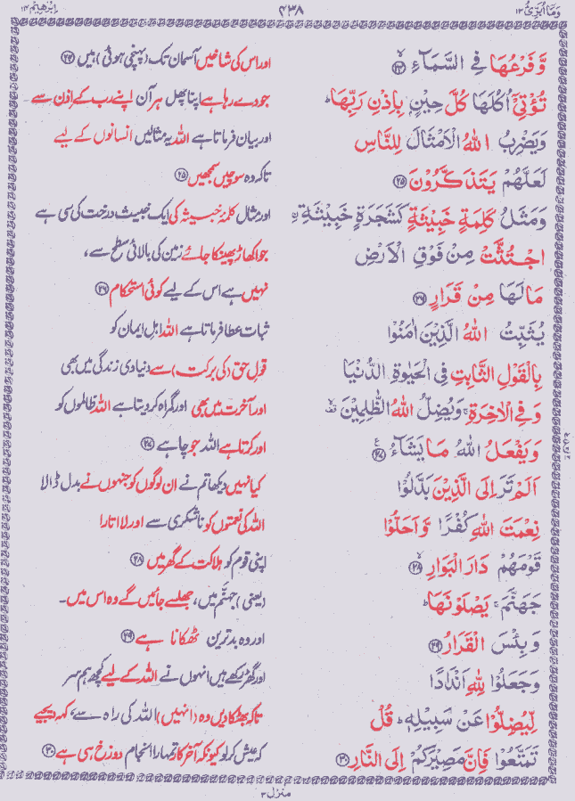 Quran Shareef Para # 13 P0438