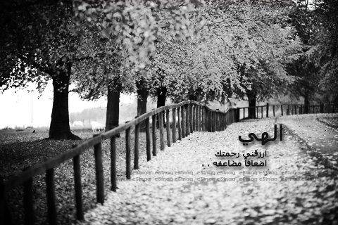 ابيض واسود - صفحة 75 Img_1430414967_373