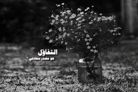 ابيض واسود - صفحة 75 Img_1430414967_467