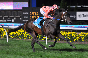 SHUT THE HELL UP ABOUT AUSTRALIA!!! - Page 24 Moonee-valley-2011-03-25-black-caviar