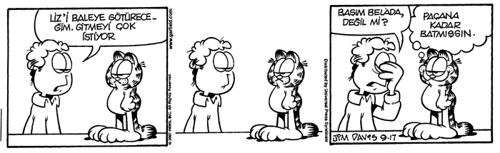 Karikatr Dnyas Garfield
