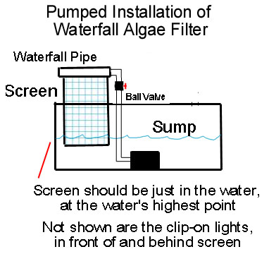 Algae scrubber PunpFeed