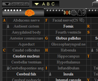 CT and MRI Interactive Atlas of Cross-Sectional Anatomy Top3