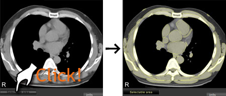 CT and MRI Interactive Atlas of Cross-Sectional Anatomy Top6