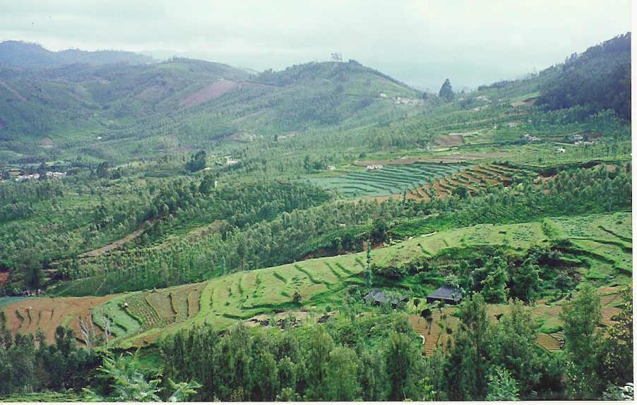 இயற்க்கை அழகுகள். Ooty_2