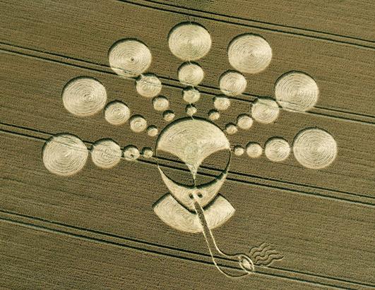 Study Hall. - Page 9 Crop_circles_alien