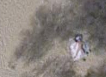 Imagenes raras captadas por Google Earth (El foro tiene sistema Google Earth) Goocur_nudista
