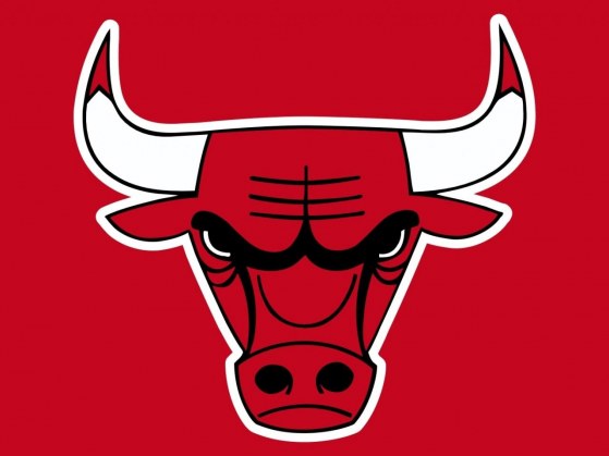 Tirage Draft 2002 - Page 2 Chicago-Bulls-Logo