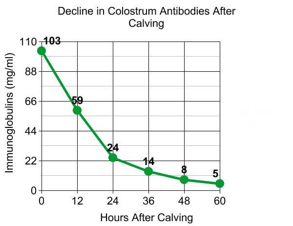 Iodine supplements suck for hair loss? ColostrumGraph