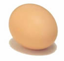 Ei Koken Egg