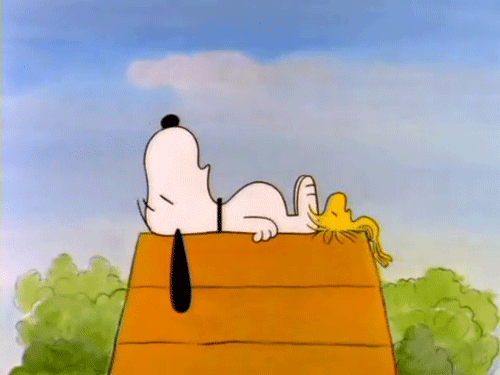 - Le Défi des 9 Gifs - Snoopy