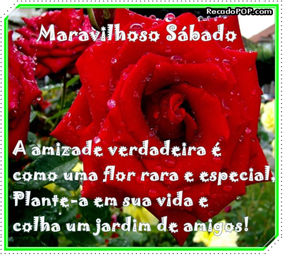 SÁBADO 6 DE OCTUBRE DE 2012. POR FAVOR DEJEN SUS MJES. DIARIOS AQUÍ. GRACIAS!! Maravilhoso-sabado-rosa