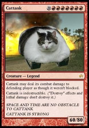 SOME FUNNY PICS :) - Page 3 Cat-magic-card