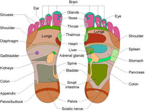 பாதங்கள் Reflexology