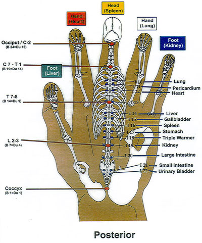 Koryo Hand  Therapy CHART-KOREAN-HAND-2