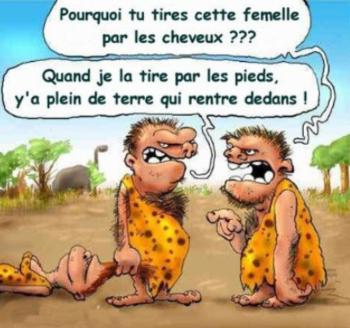 humour en images II - Page 8 _wsb_350x328_J21