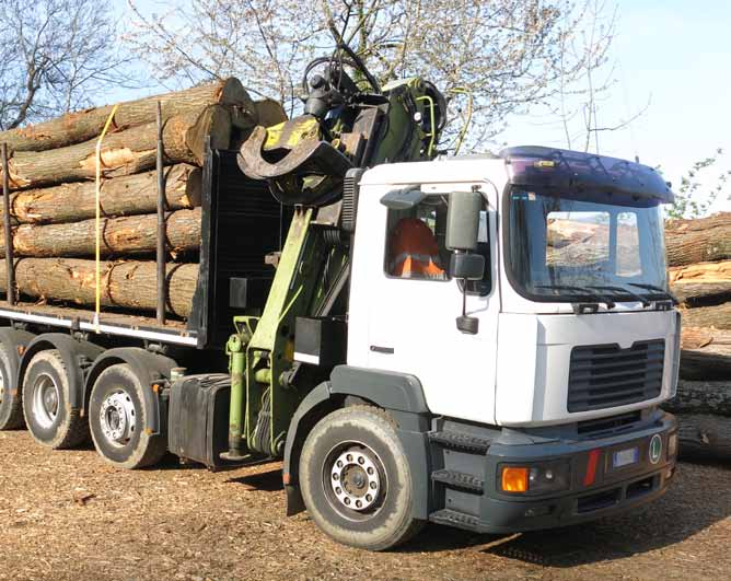 arco da esbosco  skidder log skidder Autocarro