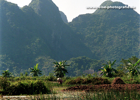 :    Vietnam-07