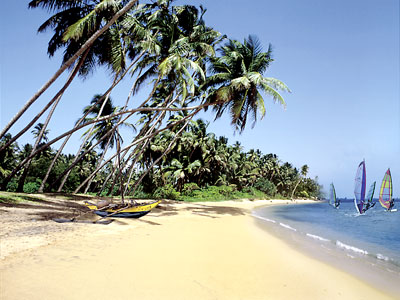 Google Suche Sri-lanka-strand-3