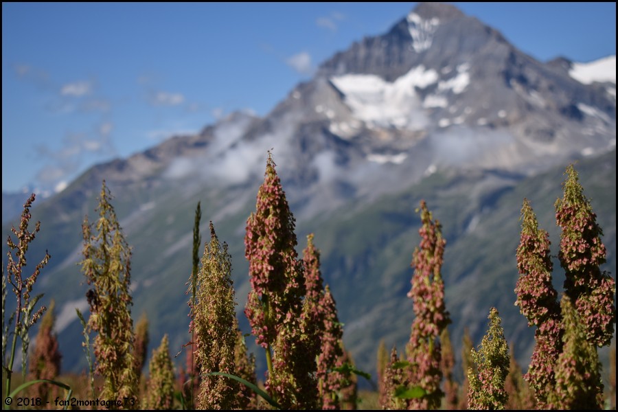 Tour de 6 jours entre Haute Maurienne et Haute Tarentaise  Gallery_6029_5096_142153