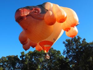 The Transhumanist Freakshow Art of Patricia Piccinini  800px-Skywhale_taking_off_May_2013