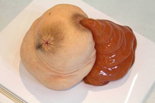 The Transhumanist Freakshow Art of Patricia Piccinini  Patricia_piccinini_nectar_l-1