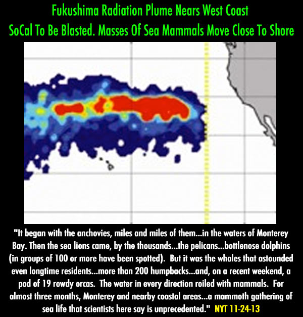 Fukushima Radiation Plume Nears West Coast - Graphs & Vid  12-4-13  Plumesplash4